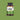 Pure Moringa